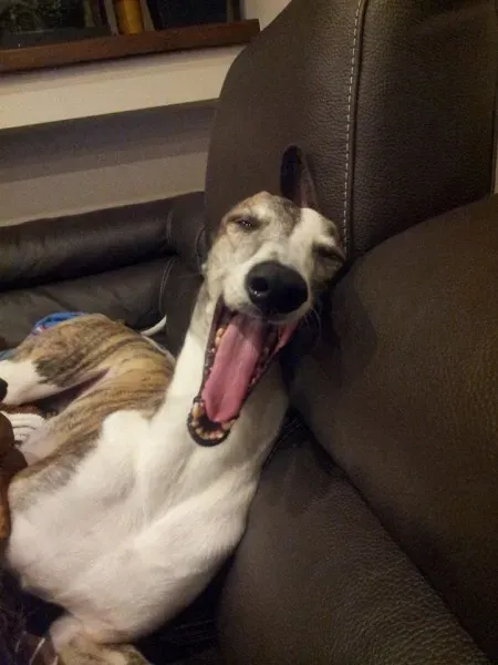 11048760 10205628406461903 1554198588190656916 n