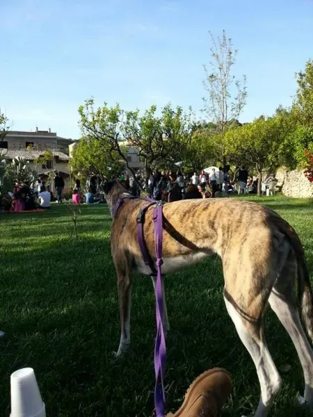 11049551 10205658700459234 8762924435990190815 n