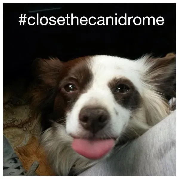 11049553 10206617918520740 3162165935115168334 n