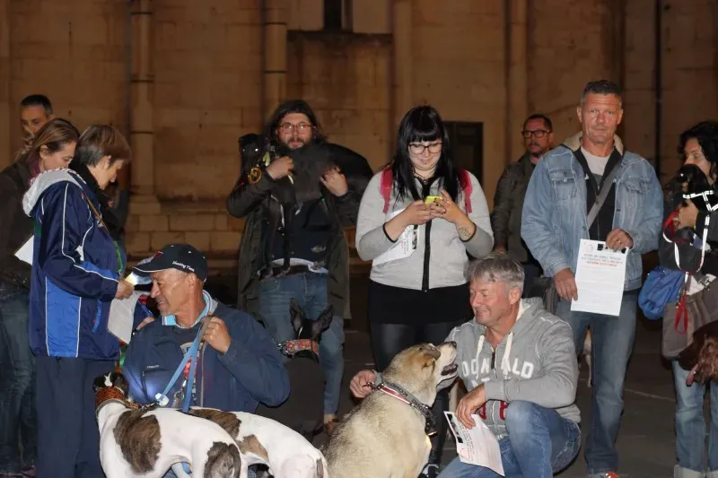 11050090 517884818380042 7045989097613851336 o