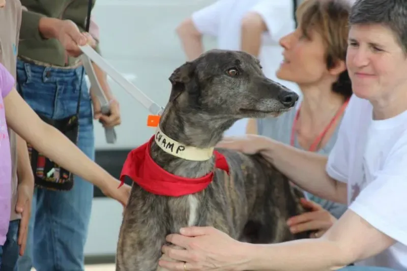 11050684 834201009997089 3353037396355504501 n