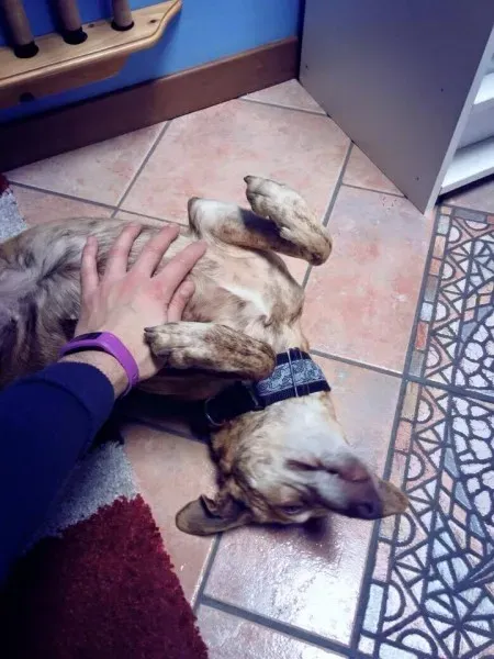 11050735 791910680892789 3299736984574145648 n