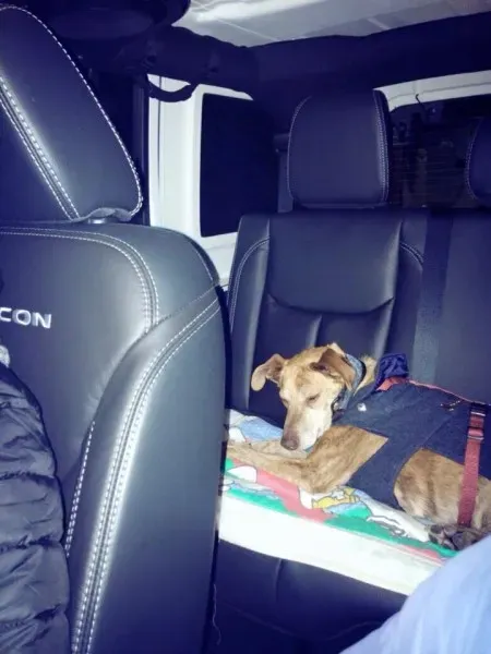 11050742 966554096695978 1634768432107657083 n