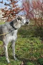 11050979 10152574961810194 468774328 n