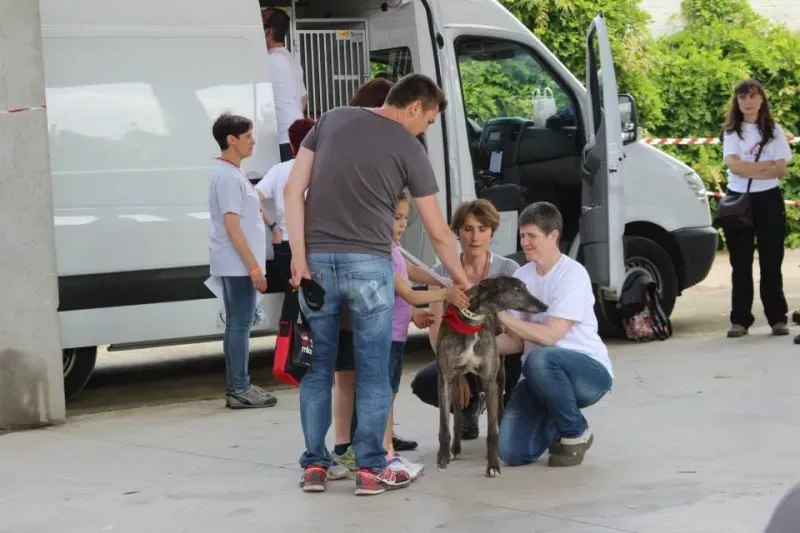 11051893 834201079997082 4978239984807083751 n