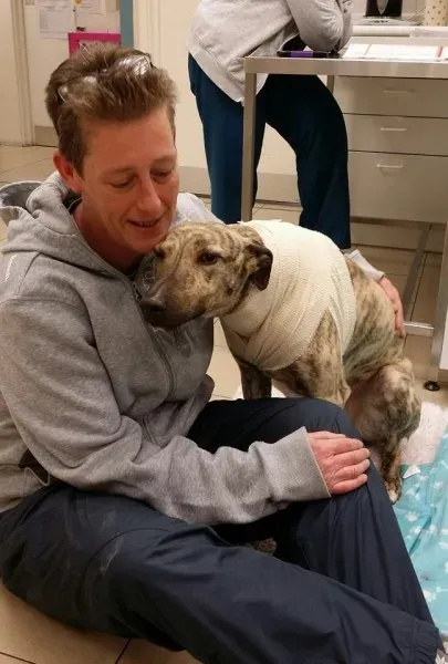 11052417 10153208666724271 7214296770824470931 n