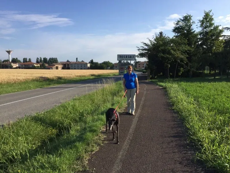 11053936 1476836522616779 3729582260813677044 o1