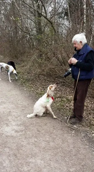 11054493 10205191454057983 7857359642738806871 n