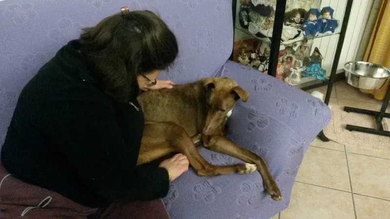 11054502 10204856704315227 5647411389732640855 n