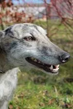 11056913 10152574958885194 1814567215 n