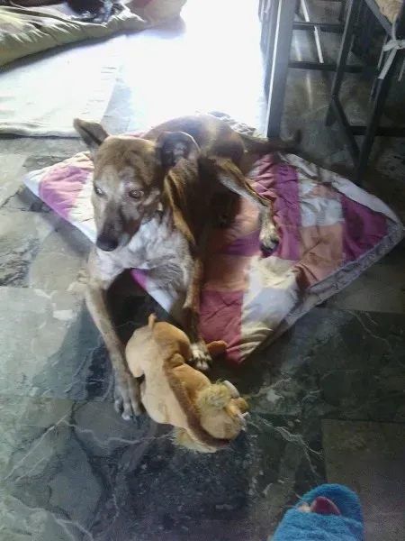 11058154 373805419492613 3323009400501567429 n