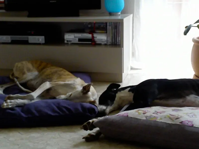 11059522 692227354237010 5670213585621819579 o