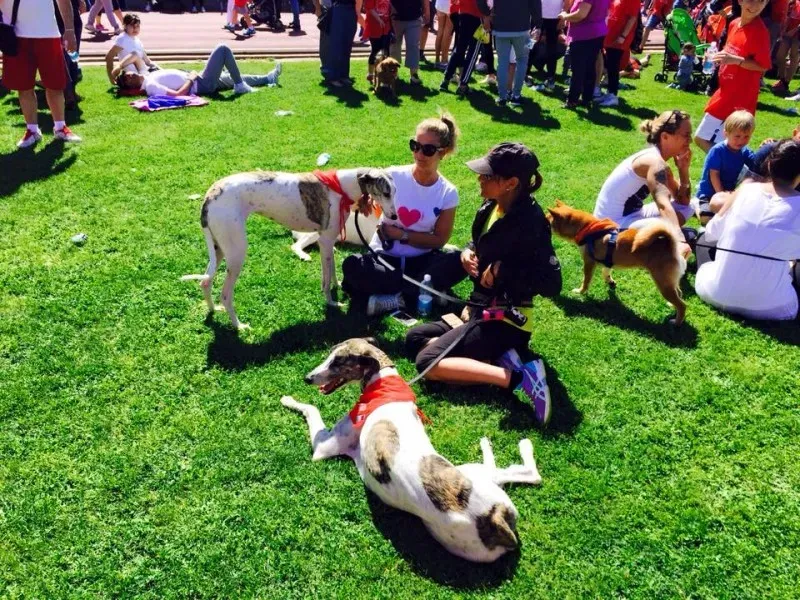 11059570 10204991478119068 1184365034982882408 n