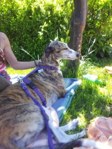 11059583 10205658704979347 7877292345801551332 n