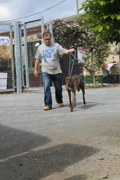 11059681 1014946811856351 77830329272086361 n