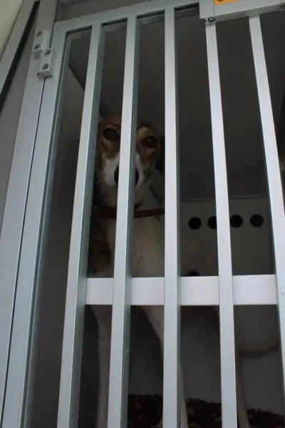 11060930 1014949581856074 1578632502306235943 n