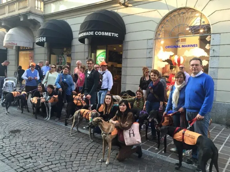 11060950 811873258896531 3548655845342627984 n