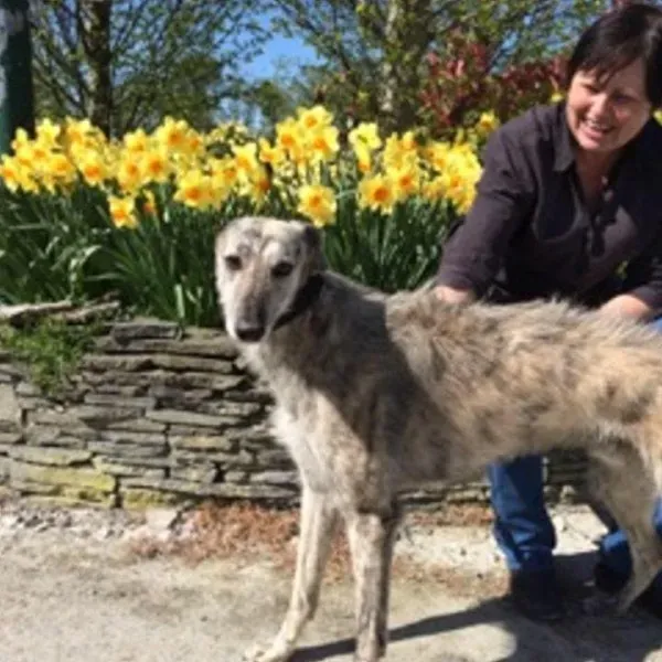 11060998 814751371942053 4147207489669572438 n