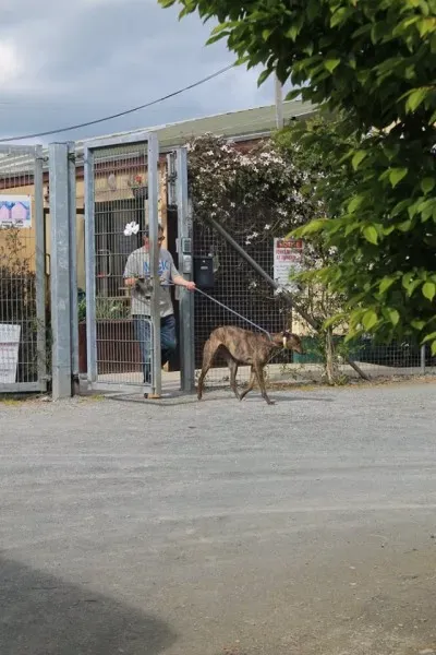 11061191 1014946778523021 5350681868516375711 n