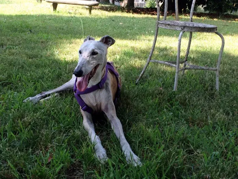 11061263 710374662422279 1698502493837189240 o