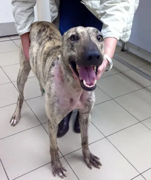 11061269 943075615726555 5646376072027756714 n