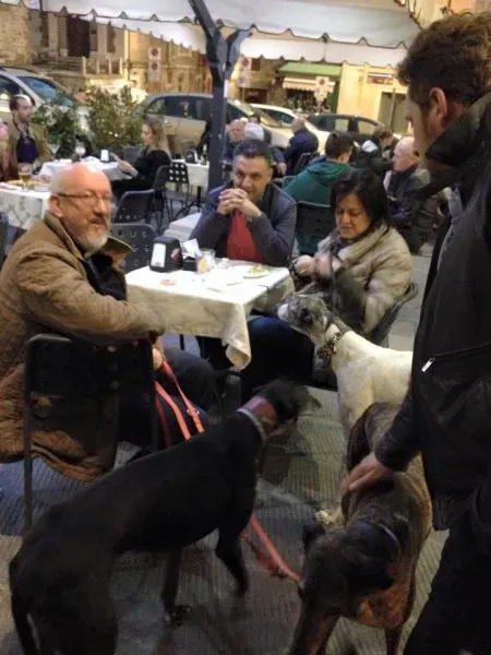 11061740 10204827359056194 3339746008681023918 n