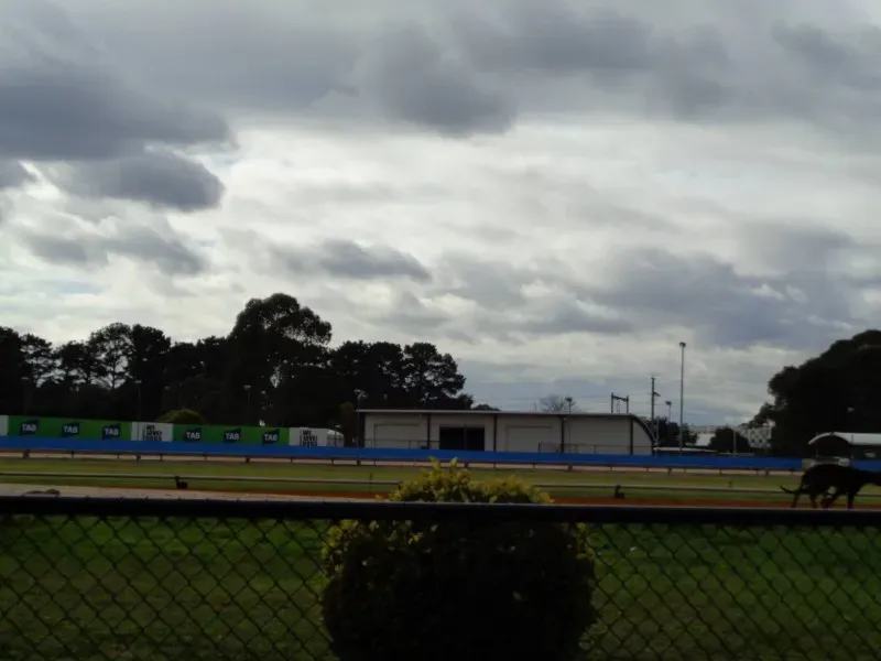 11061967 10153014517173354 4375022786732940092 o