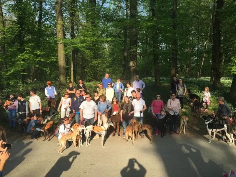 11062116 811843348899522 2518006068468951643 n