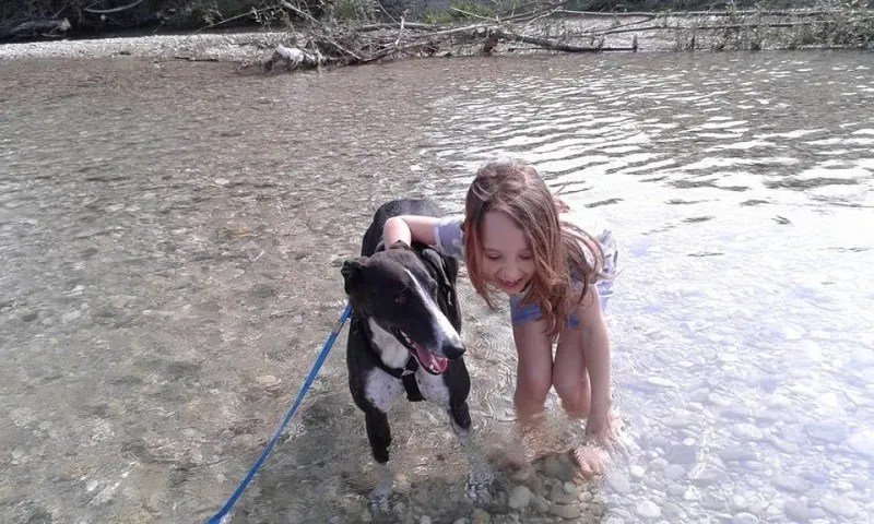 11062138 1596898657254329 1997292166877440709 n