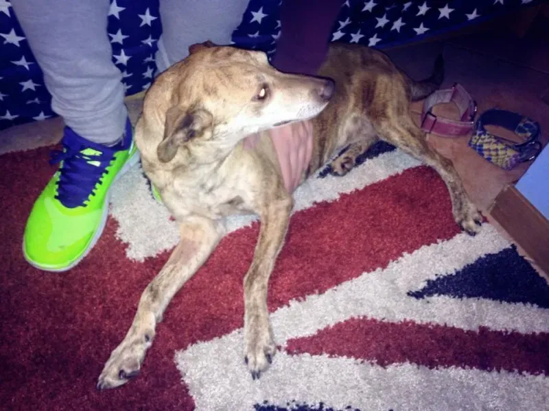 11062328 966553946695993 6079366057622276712 n