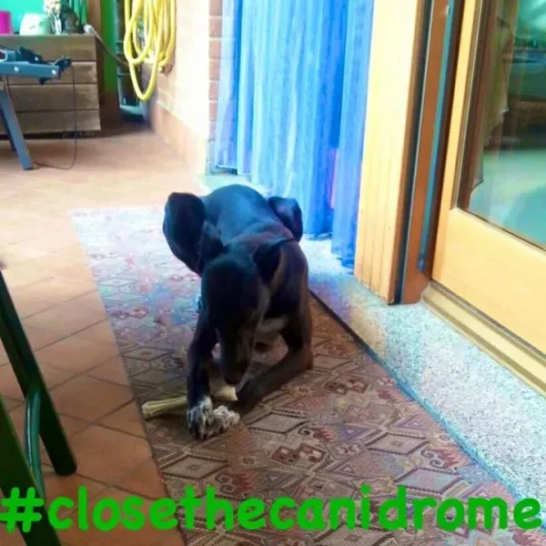 11062423 10207243881556627 2983085395104713488 n