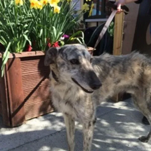 11063793 814751328608724 4032951332039730369 n