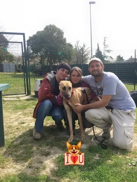 11063913 10206629545844410 2501785173778797388 n