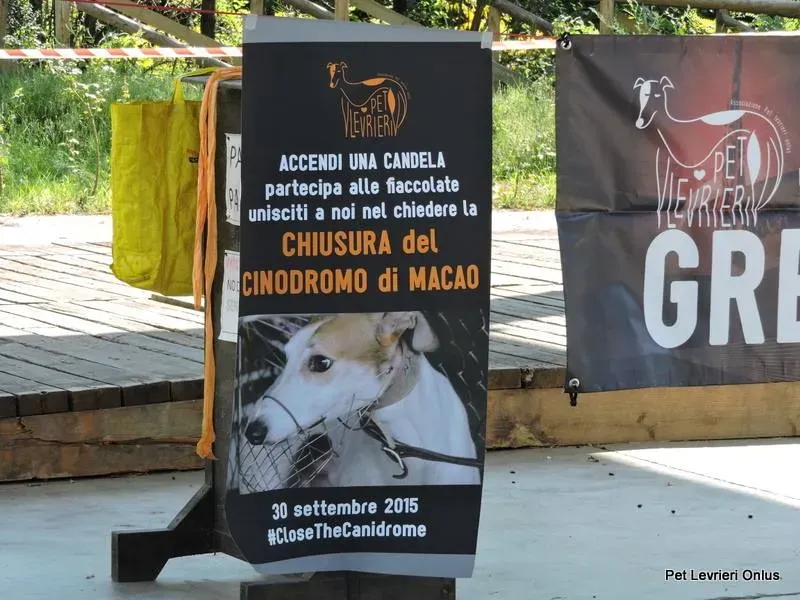 11064914 894617367288786 3904606343634596448 n