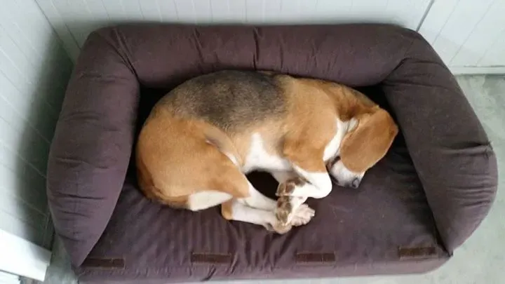 11065841 10206609766714856 6310026965444060458 n