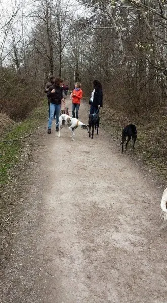 11066019 659493477507361 1144247923563211754 n