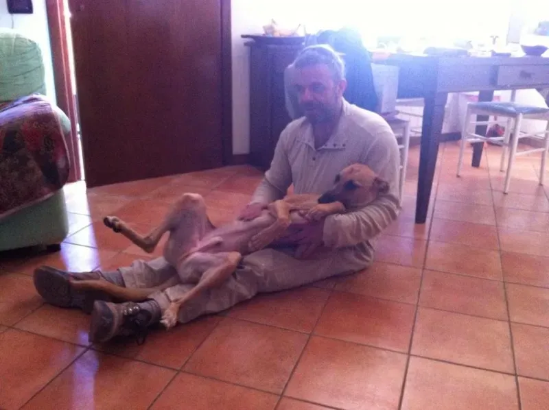 11071391 10203766616712503 803621117553290643 n