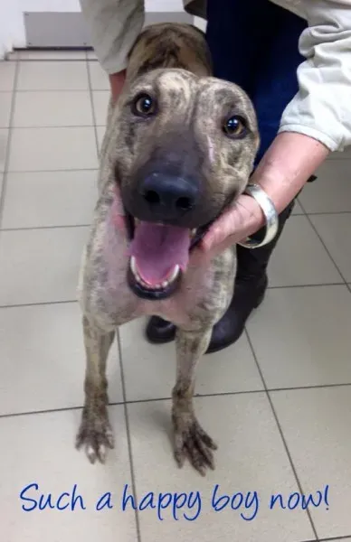 11071411 943074449060005 3919135534388078789 n