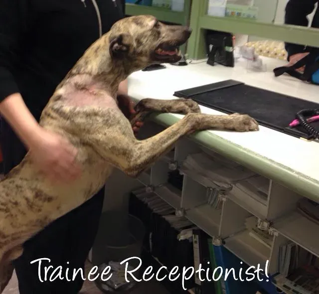 11071498 943074495726667 8320786428459558615 n