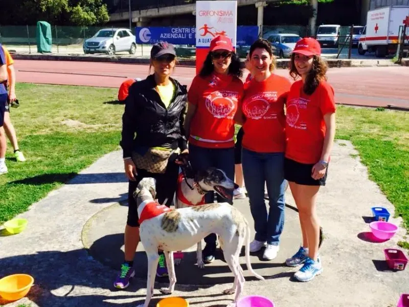 11072190 10204991475238996 1353752627667549807 n