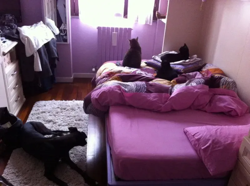 11073494 10206053216911518 1044998906719452236 o