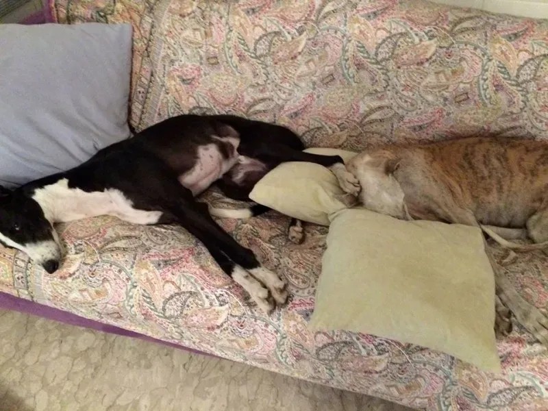 11073505 668096776650068 8564249103289076453 o