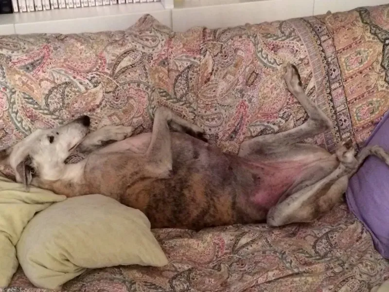 11074591 666854356774310 6201477622462786587 o