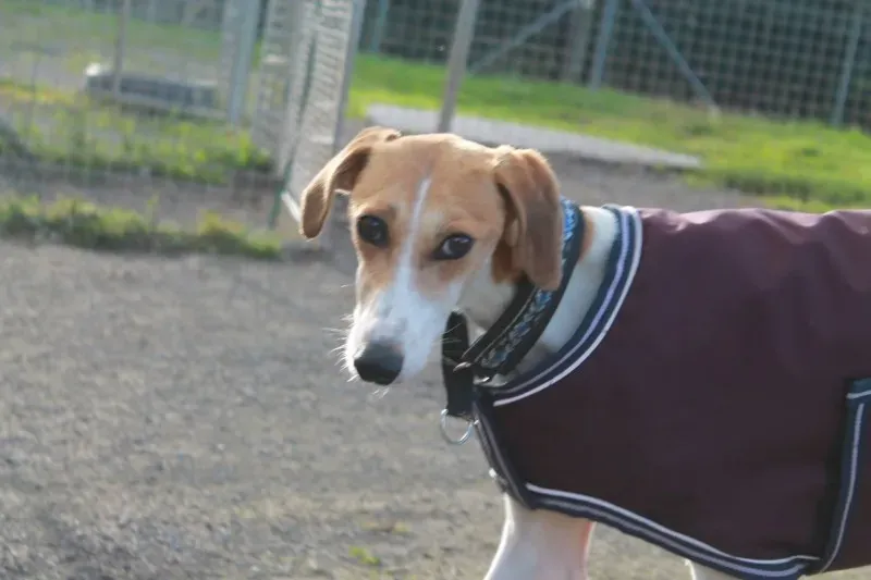 11080400 1082121375138894 2828590038960205863 o