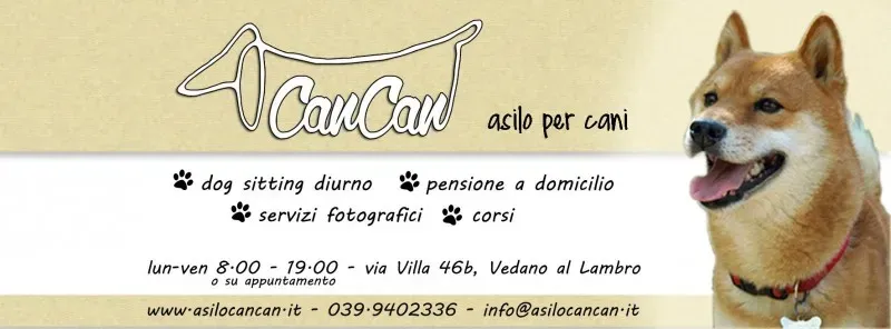 11088493 1581552878769414 1576462828596582661 o