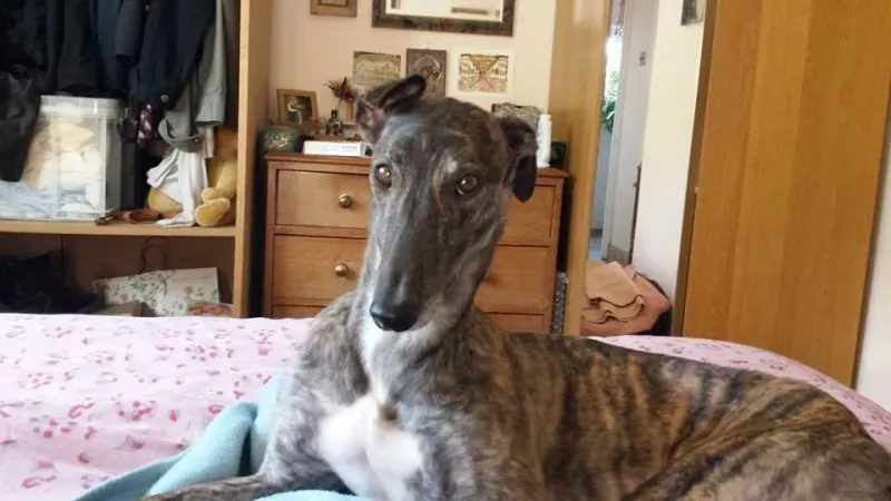 11091192 737552729675856 4040012298636697924 n