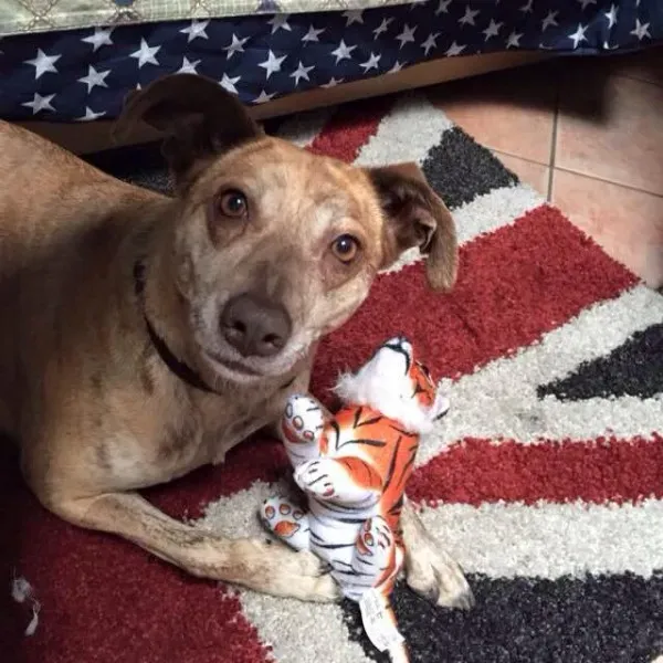 11102924 977330512285003 3187872494427152019 n