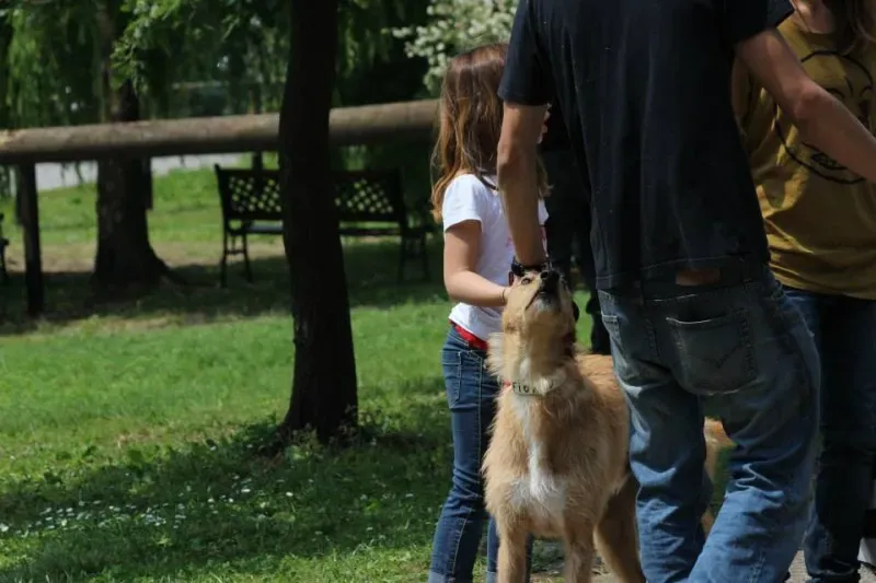 11108994 834201403330383 6133967682645173150 n