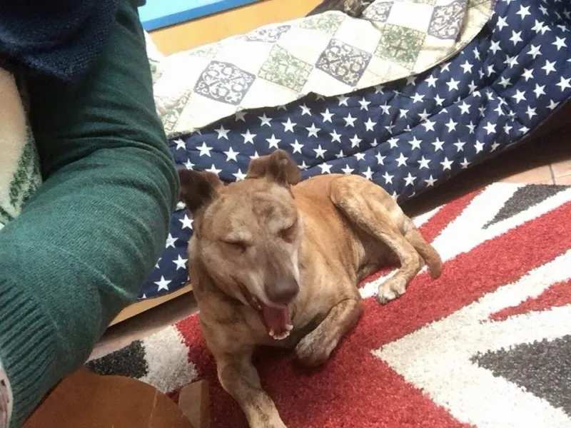 11110184 981445365206851 5019898140750478355 n