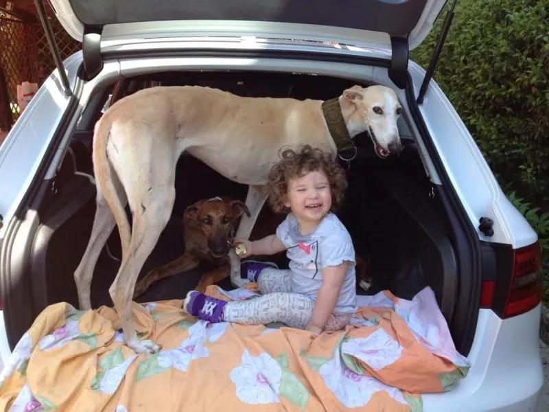 11110975 842124679208582 7575179541494828181 n